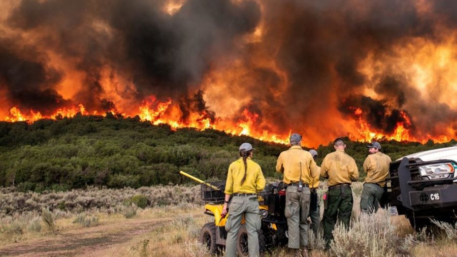 Image of Firefighters at Pine Gulch