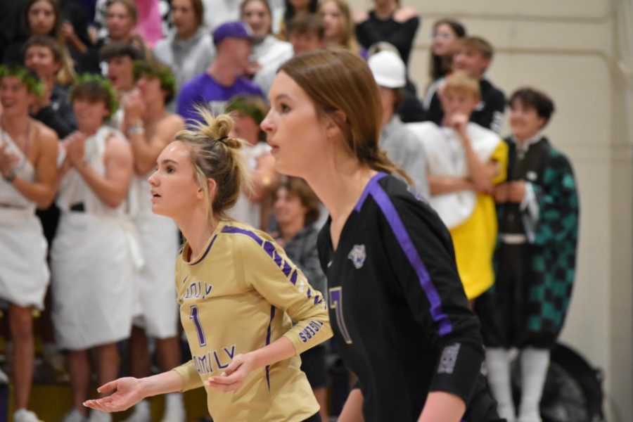 Tiger Volleyball: The Final Stretch