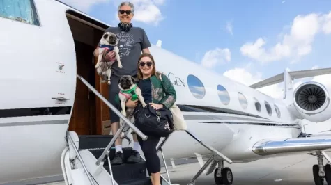 New Pet-Friendly Private Jets