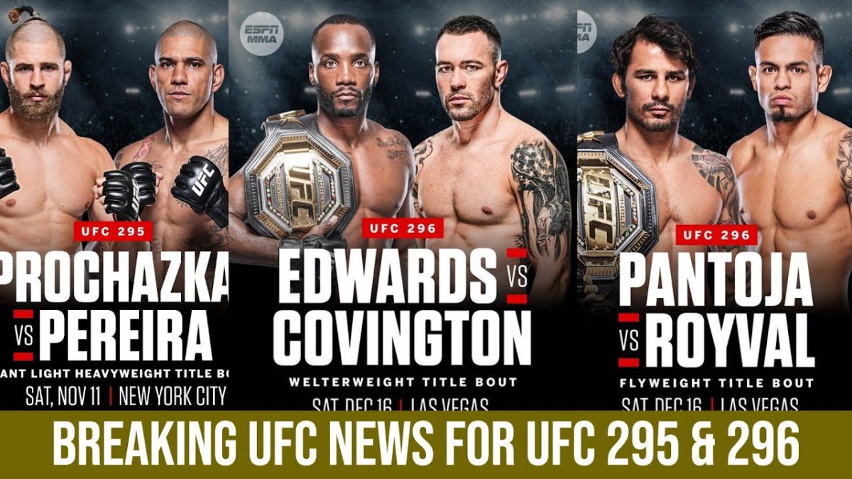 Fight Night: UFC 295 Predictions
