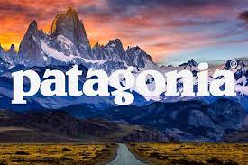 If You Dont Have Some Patagonia, You Should
