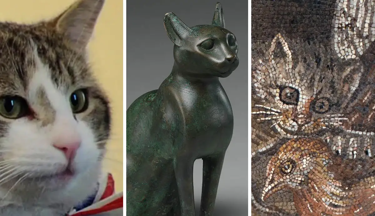 Cats+Throughout+History