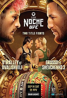 UFC 306 Recap