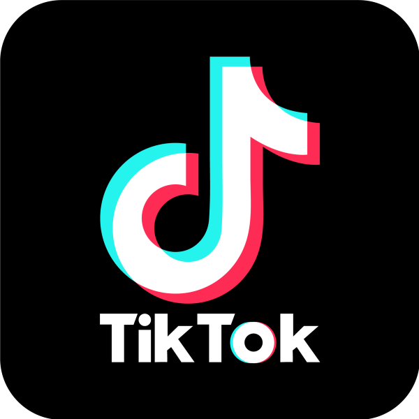 Tiktok Ban hitting hard