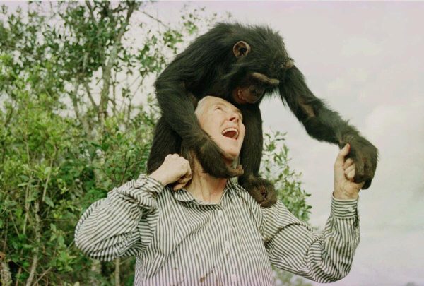 Jane Goodall, Chimpanzee Expert, Dies at 91