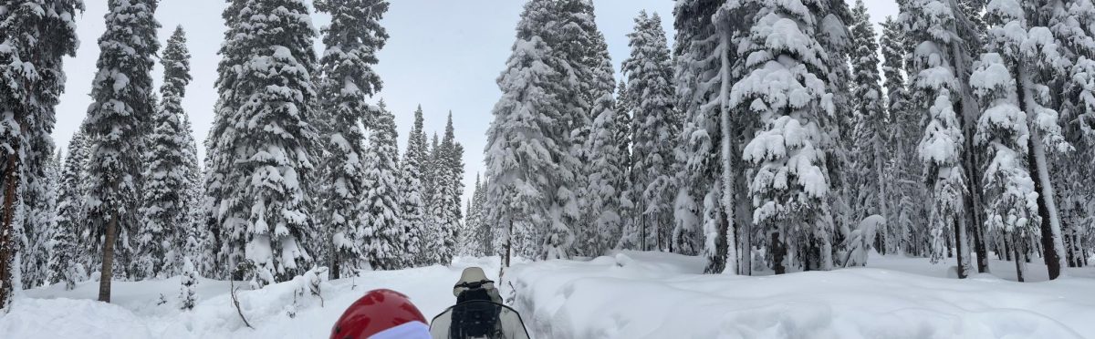 SNOW; It is finally here.