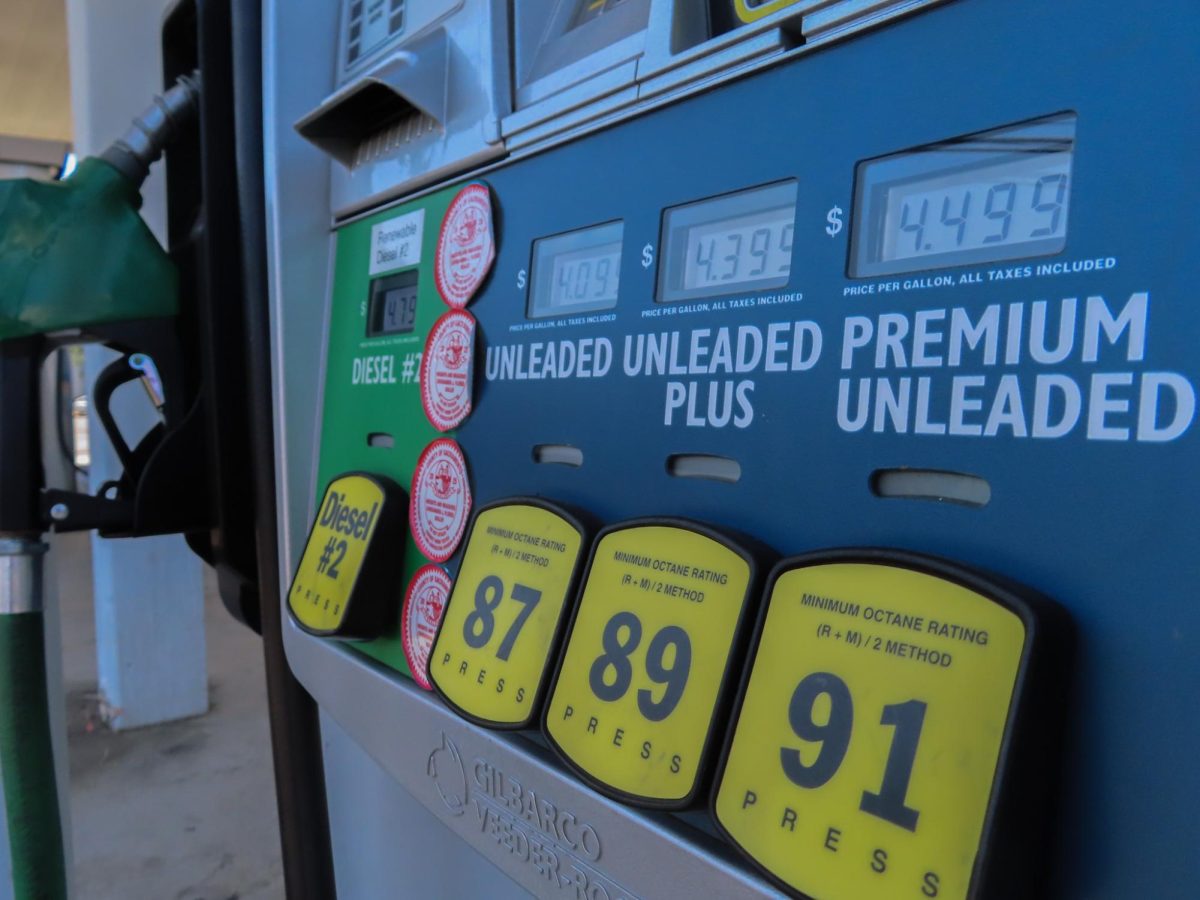 Gas Prices coming down?